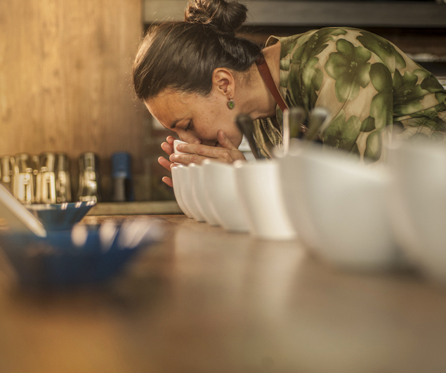 Digustación de Café